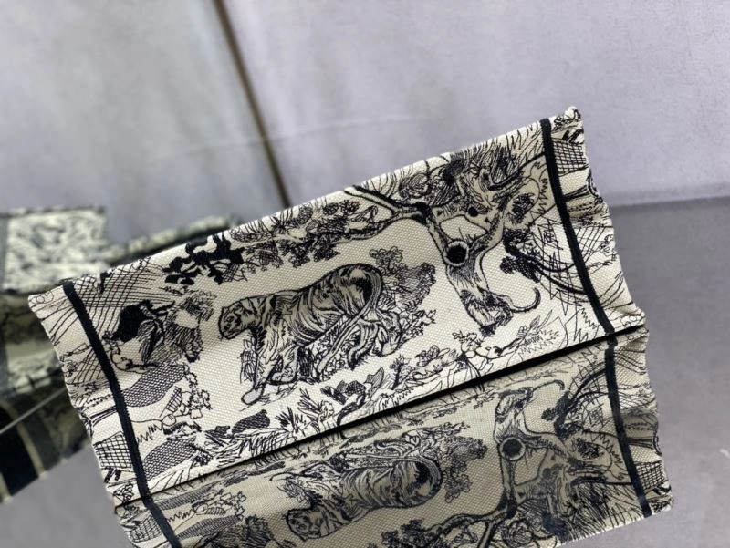 SmoothTexture Christian Dior Shopping Bags 70555