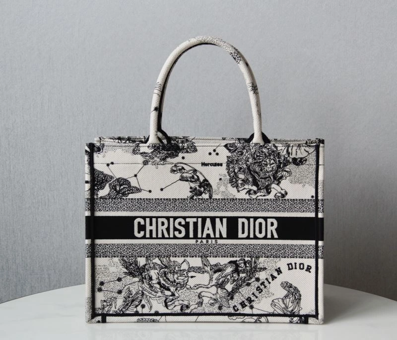 Sophisticated Christian Dior Shopping Bags 70505
