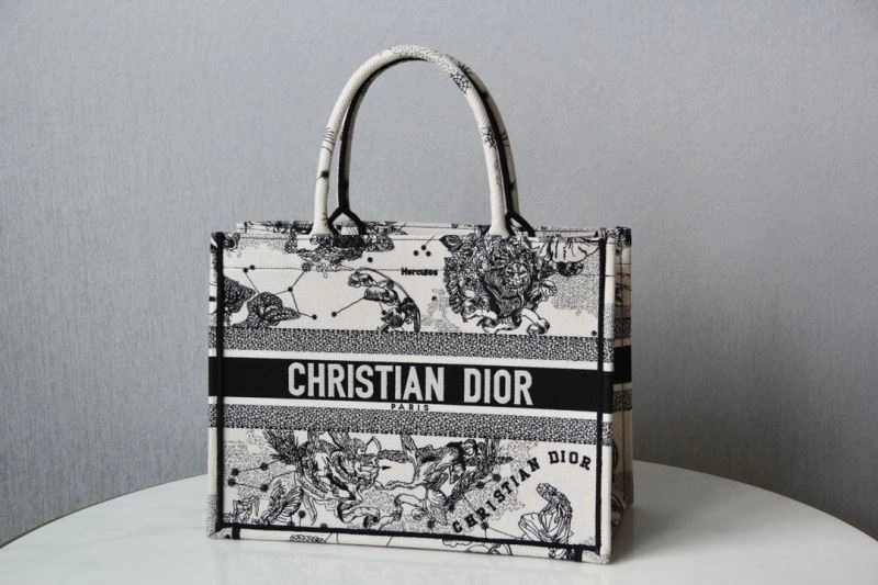 Sophisticated Christian Dior Shopping Bags 70505