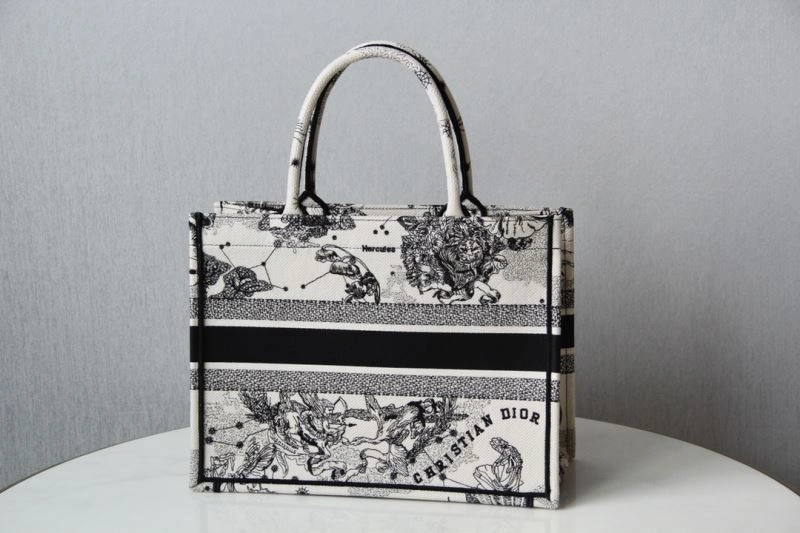 Sophisticated Christian Dior Shopping Bags 70505