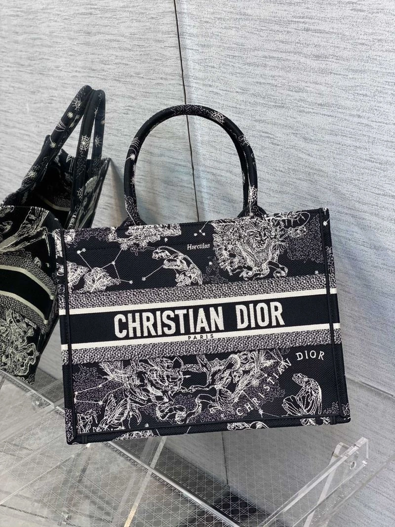 Resilient Christian Dior Shopping Bags 70501