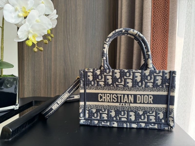 Seasonal Christian Dior Shopping Bags 70450
