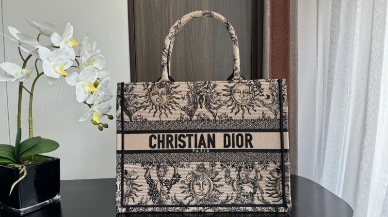 StreetReady Christian Dior Shopping Bags 70410