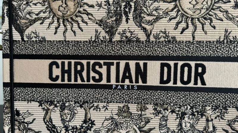 StreetReady Christian Dior Shopping Bags 70410