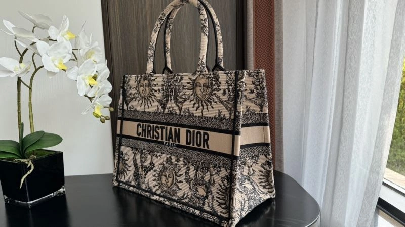 StreetReady Christian Dior Shopping Bags 70410