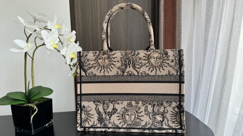 StreetReady Christian Dior Shopping Bags 70410