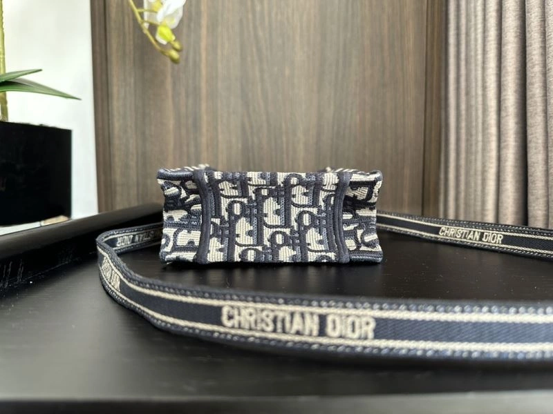 Colorful Christian Dior Shopping Bags 70405