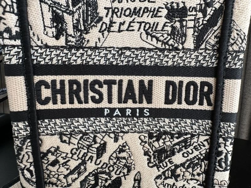 Sophisticated Christian Dior Shopping Bags 70485