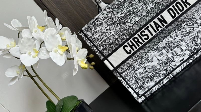 EasyMatch Christian Dior Shopping Bags 70430