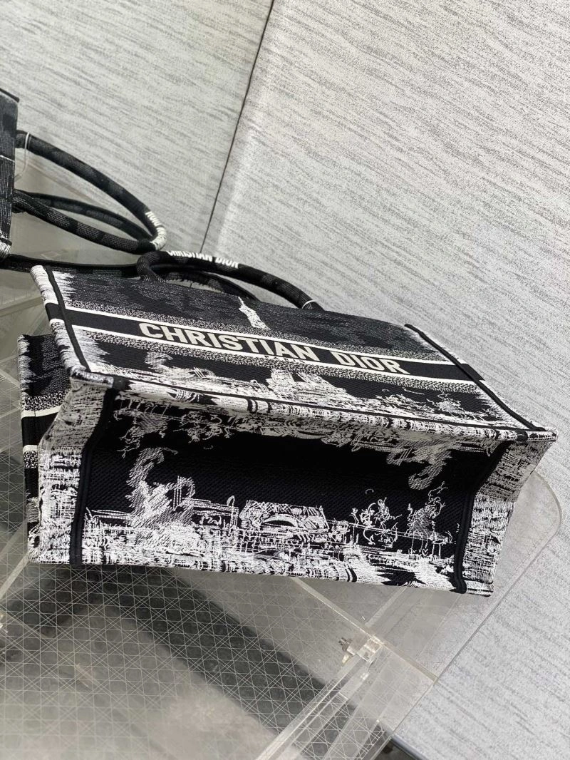 Comfortable Christian Dior Shopping Bags 70366