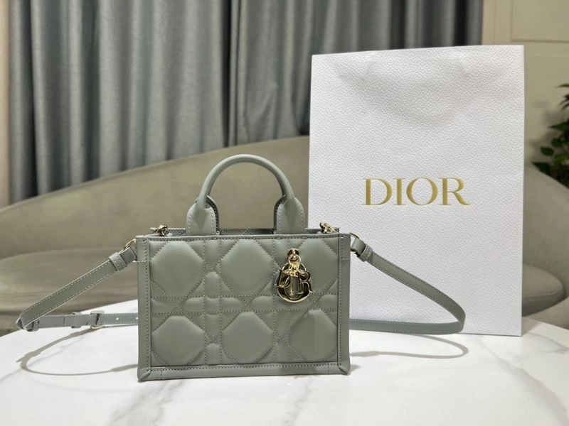 Youthful Christian Dior Shopping Bags 70357
