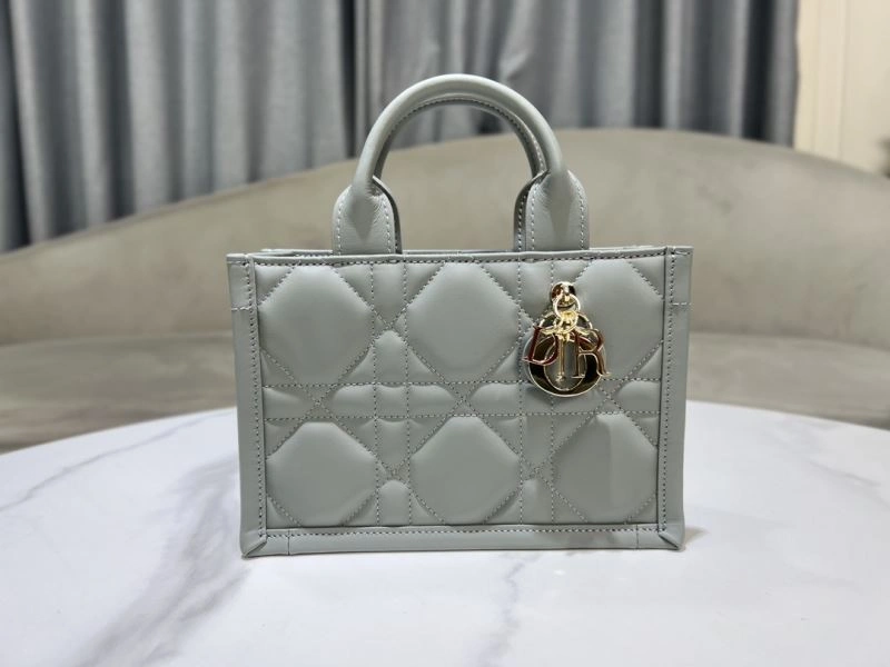 Youthful Christian Dior Shopping Bags 70357