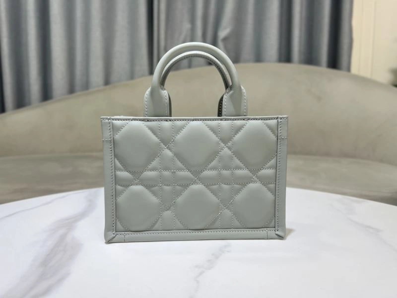 Youthful Christian Dior Shopping Bags 70357
