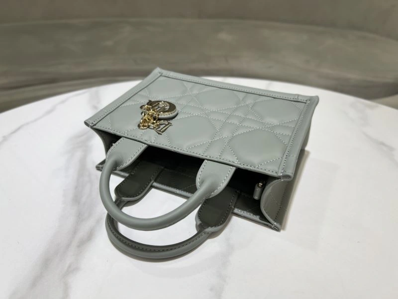 Youthful Christian Dior Shopping Bags 70357