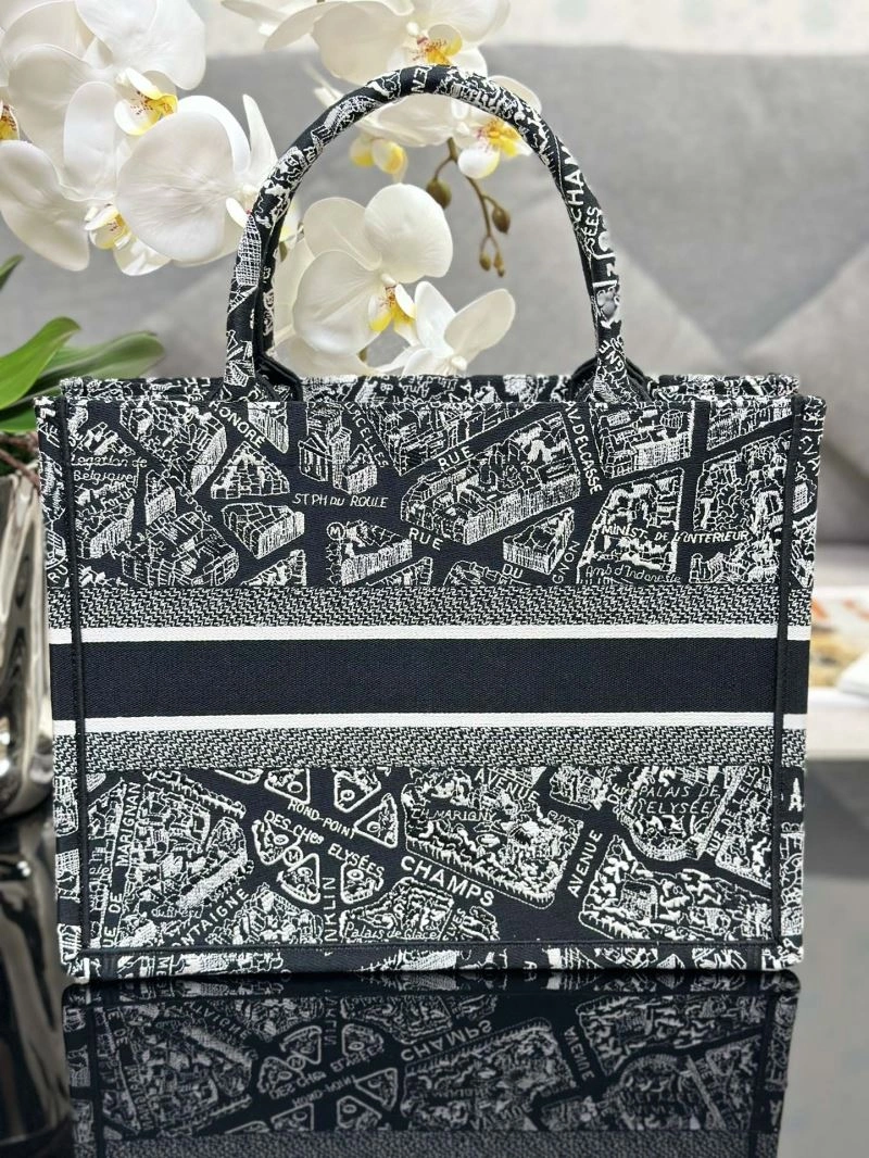 ModernLook Christian Dior Shopping Bags 70317
