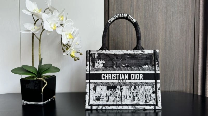TopPick Christian Dior Shopping Bags 70253