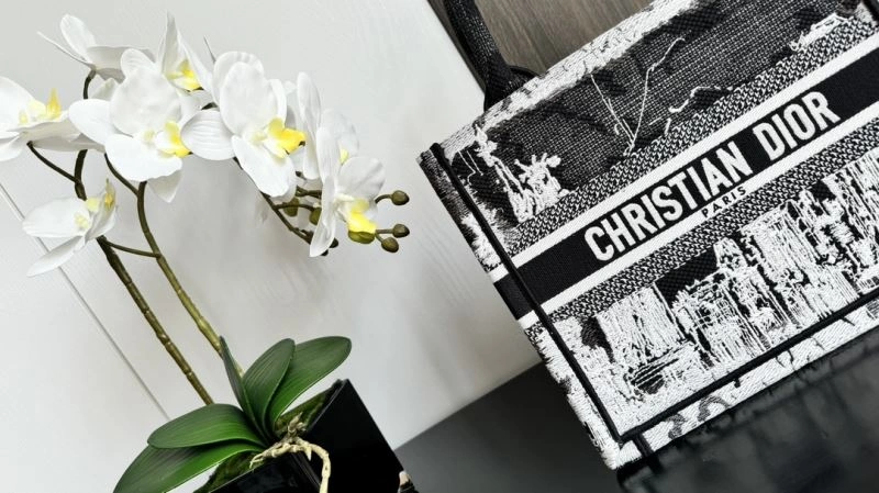 TopPick Christian Dior Shopping Bags 70253