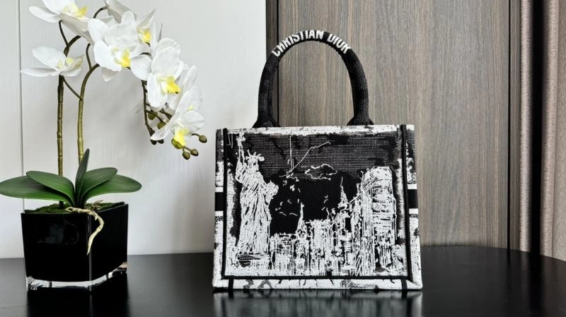 TopPick Christian Dior Shopping Bags 70253