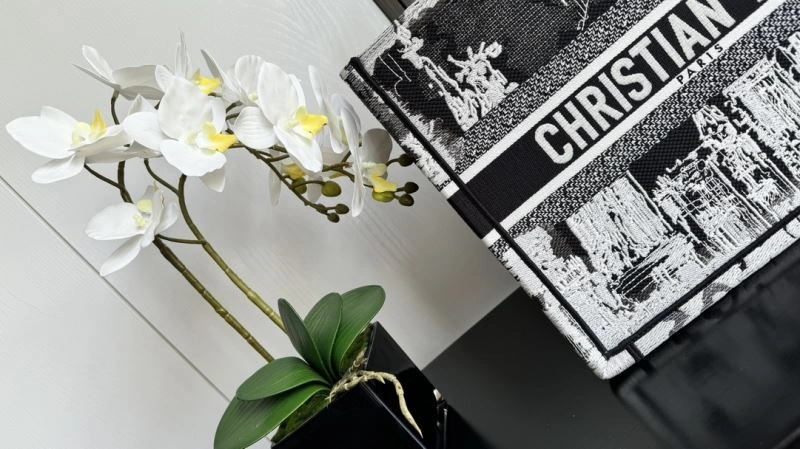 Chic Christian Dior Shopping Bags 70254