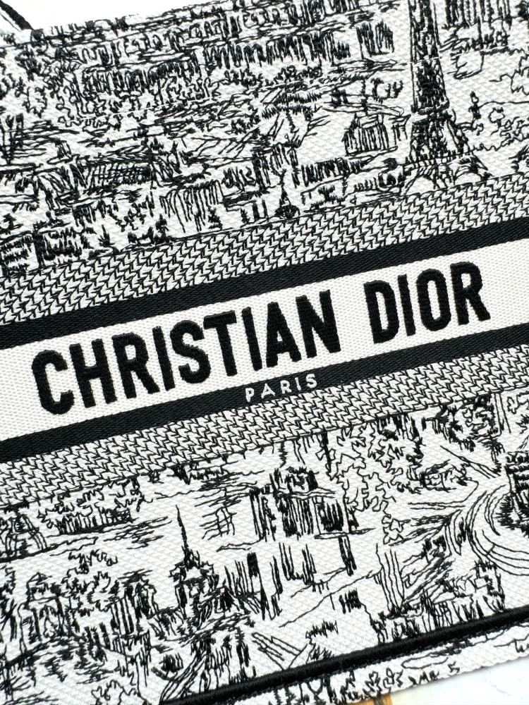 TravelReady Christian Dior Shopping Bags 70243