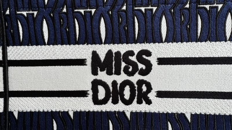 FlexibleFit Christian Dior Shopping Bags 66680