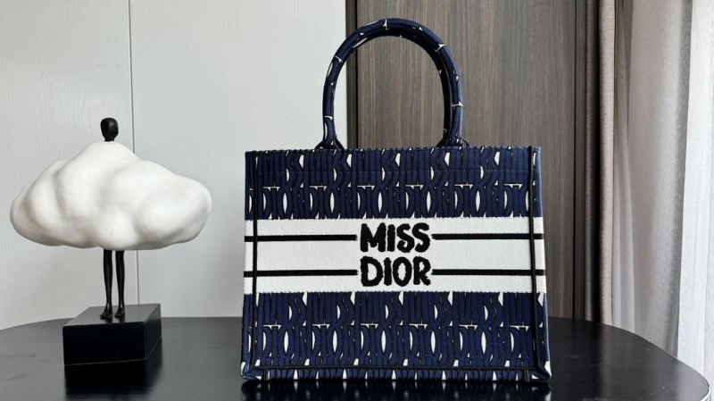 Minimalist Christian Dior Shopping Bags 66652