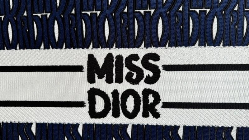 Minimalist Christian Dior Shopping Bags 66652