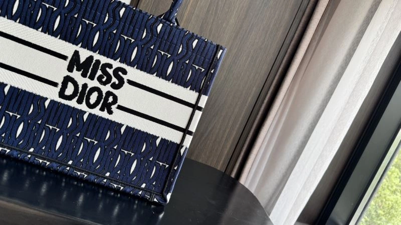 Minimalist Christian Dior Shopping Bags 66652