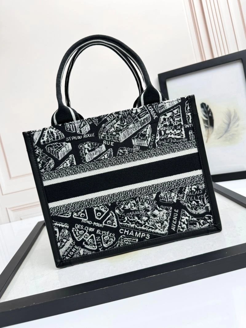 Christian Dior Shopping Bags Original 66629
