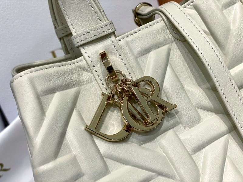SmoothTexture Christian Dior Shopping Bags 66621
