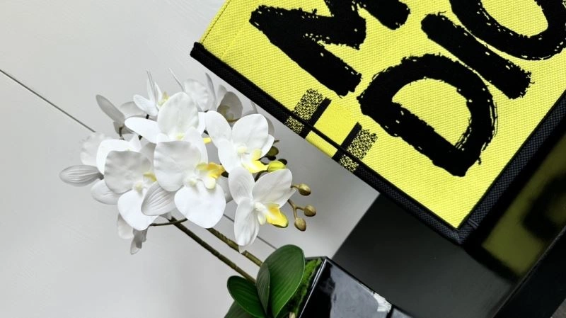 Sustainable Christian Dior Shopping Bags 66608