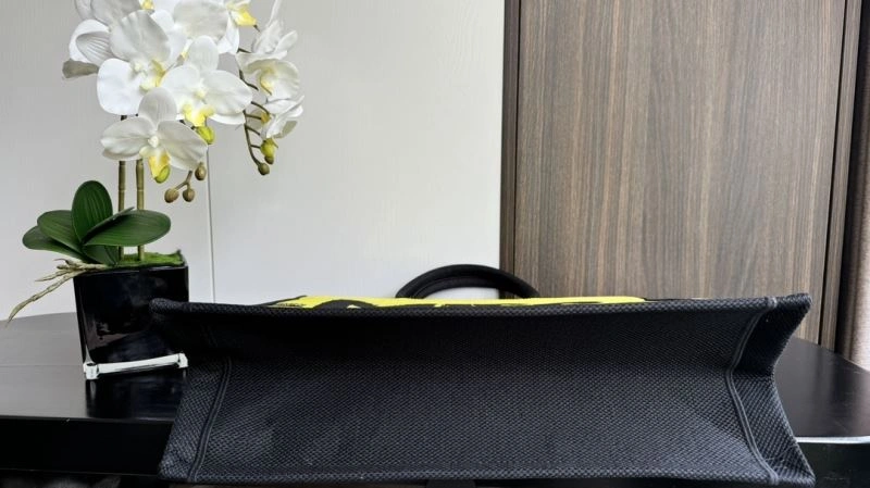 Sustainable Christian Dior Shopping Bags 66608