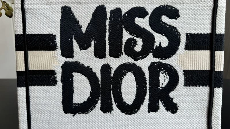 Trendy Christian Dior Shopping Bags 66647