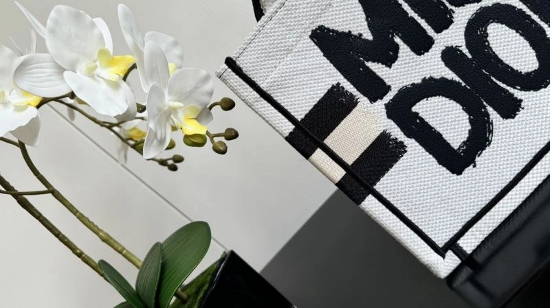 Trendy Christian Dior Shopping Bags 66647