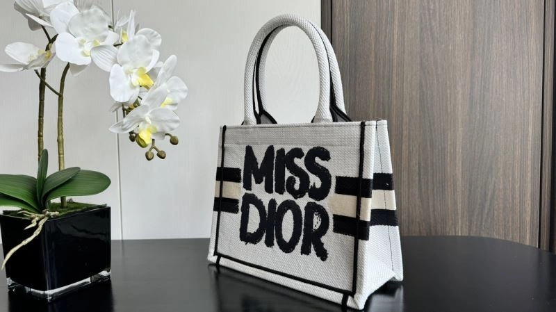 Trendy Christian Dior Shopping Bags 66647