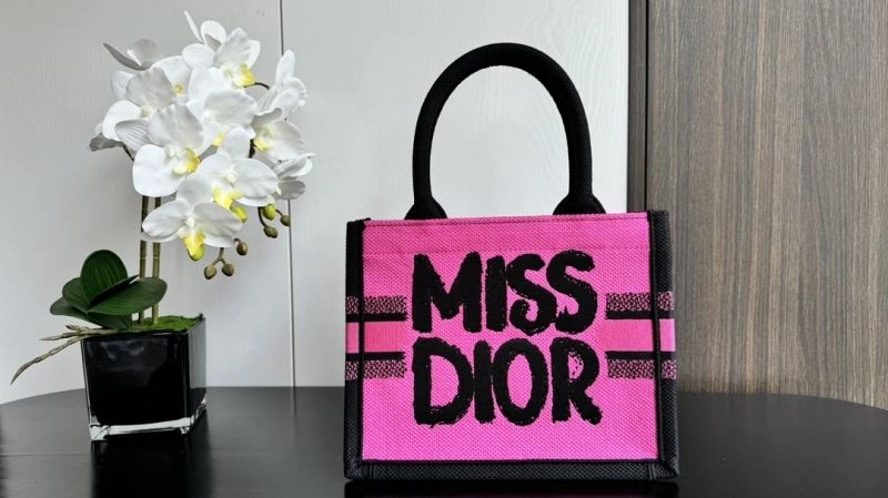EyeCatching Christian Dior Shopping Bags 66601
