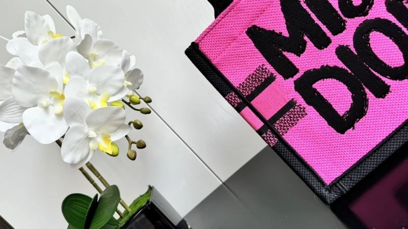 EyeCatching Christian Dior Shopping Bags 66601