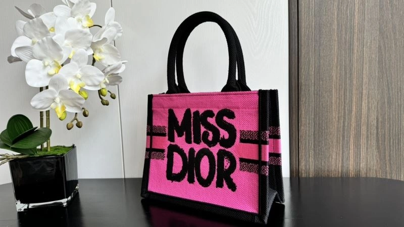 EyeCatching Christian Dior Shopping Bags 66601