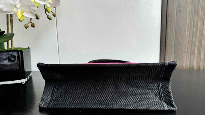 EyeCatching Christian Dior Shopping Bags 66601