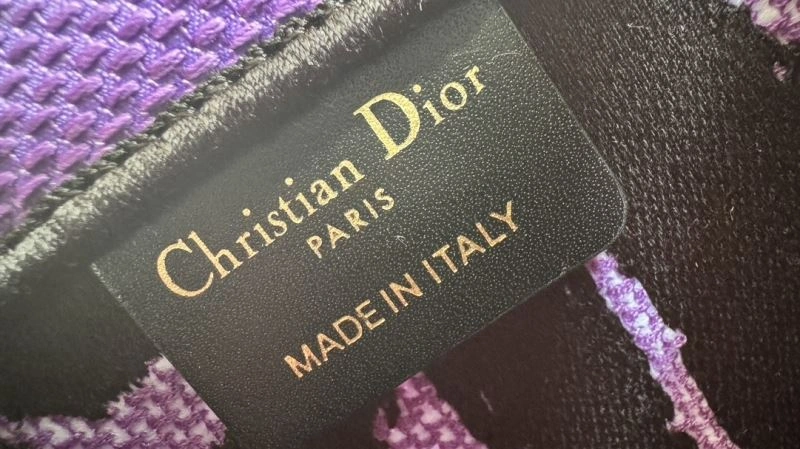 EyeCatching Christian Dior Shopping Bags 66601