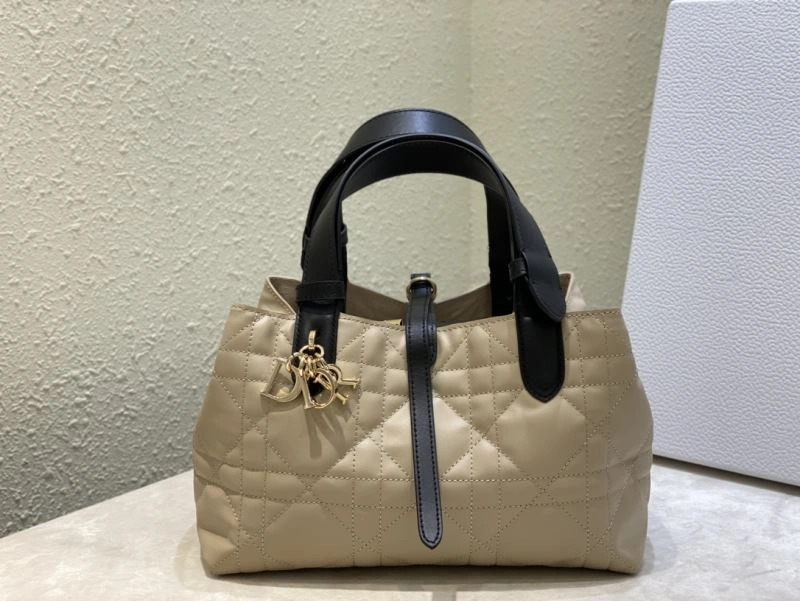 NewStyle Christian Dior Shopping Bags 66600