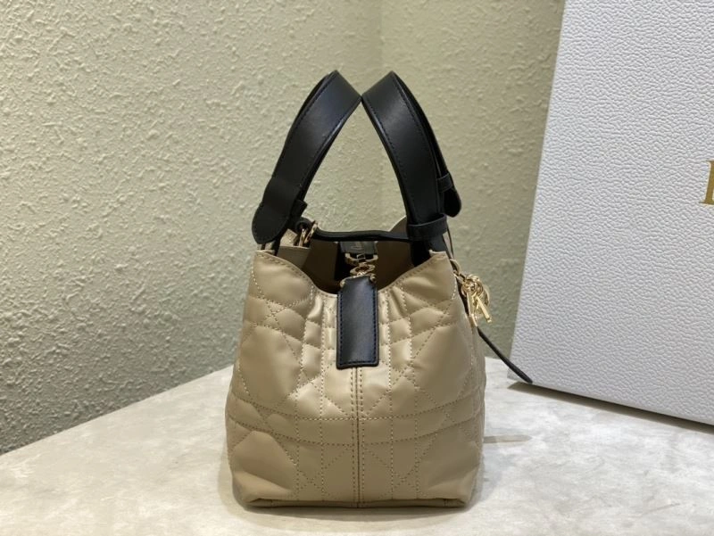 NewStyle Christian Dior Shopping Bags 66600