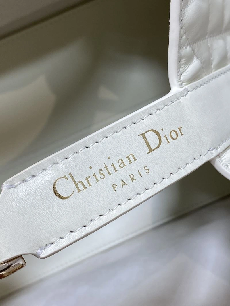 Fashionable Christian Dior Shopping Bags 66597