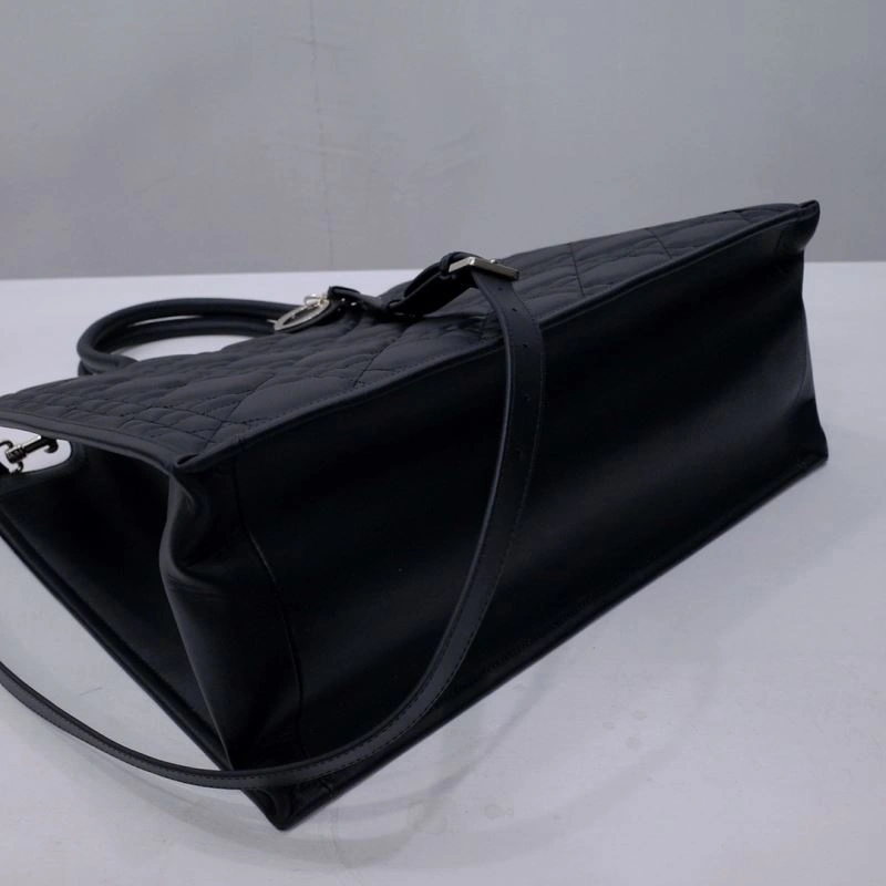 Efficient Christian Dior Shopping Bags 66678
