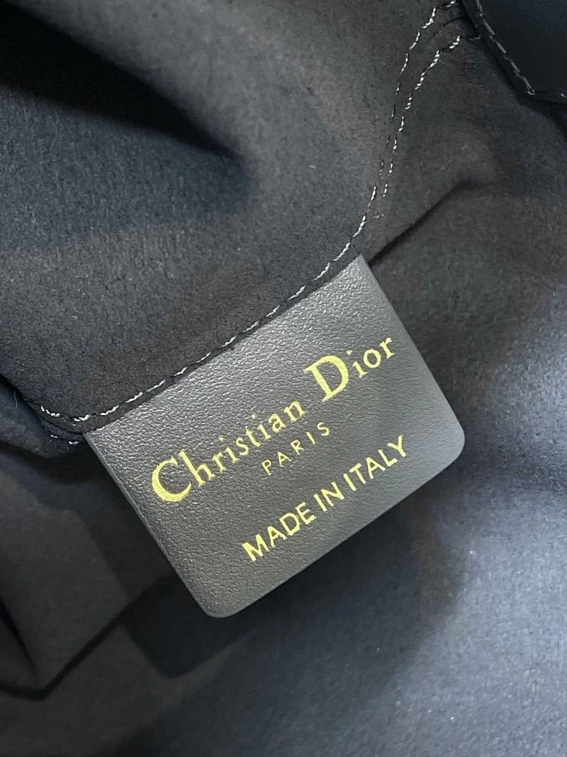 SportInspired Christian Dior Shopping Bags 63917