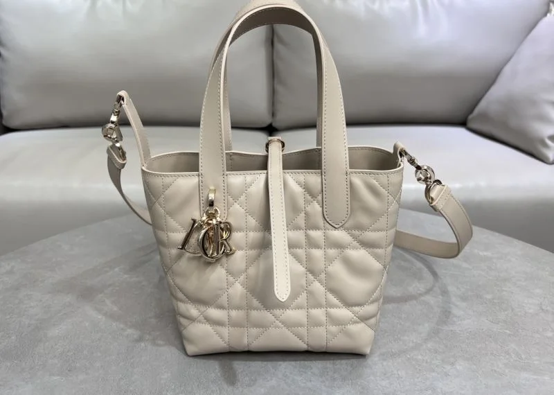 Packable Christian Dior Shopping Bags 47089
