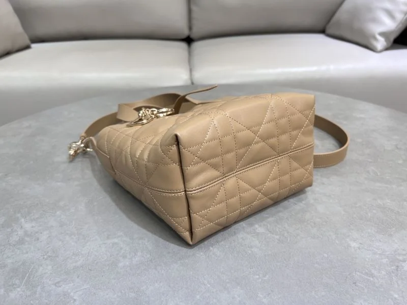 Versatile Christian Dior Shopping Bags 47120