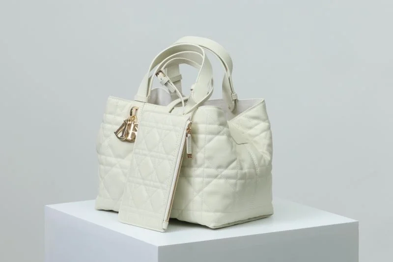 Youthful Christian Dior Shopping Bags 47090