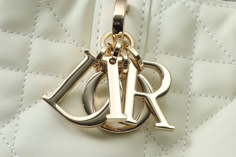 Youthful Christian Dior Shopping Bags 47090