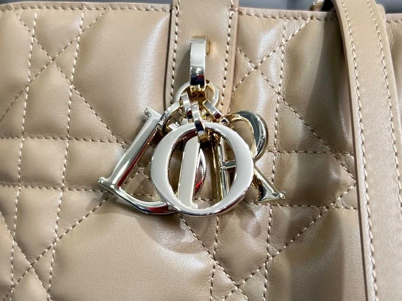 Christian Dior Shopping Bags Functional 47073